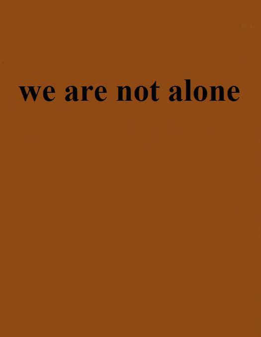 什么是we are not alone（mirroring创作的网络小说）