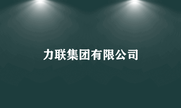 什么是力联集团有限公司