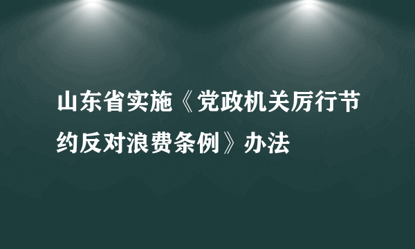 什么是山东省实施《党政机关厉行节约反对浪费条例》办法