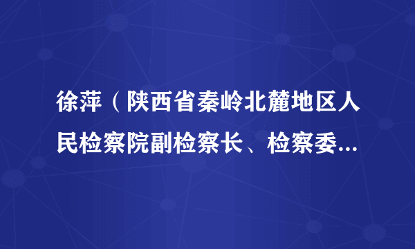 徐萍（陕西省秦岭北麓地区人民检察院副检察长、检察委员会委员、检察员）