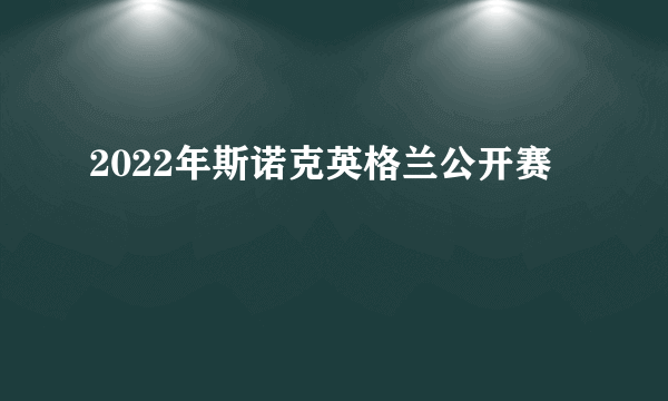 什么是2022年斯诺克英格兰公开赛