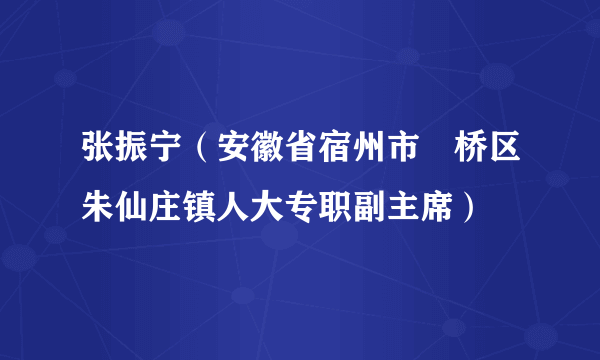 张振宁（安徽省宿州市埇桥区朱仙庄镇人大专职副主席）