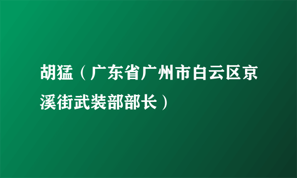 胡猛（广东省广州市白云区京溪街武装部部长）