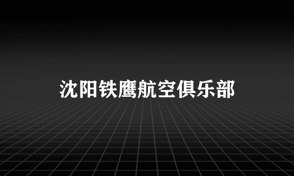 什么是沈阳铁鹰航空俱乐部