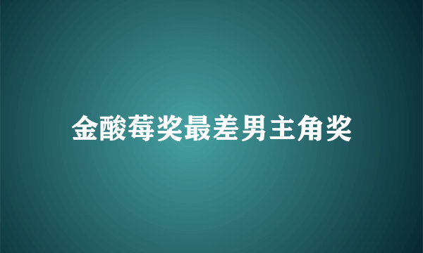 金酸莓奖最差男主角奖