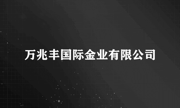 万兆丰国际金业有限公司