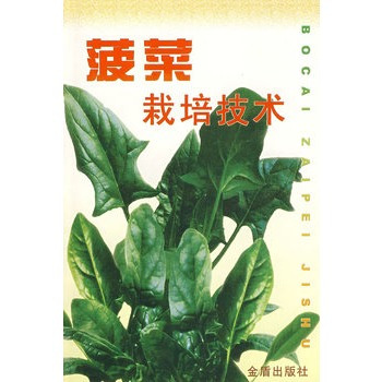 什么是菠菜栽培技术