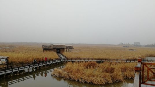 杭州湾湿地