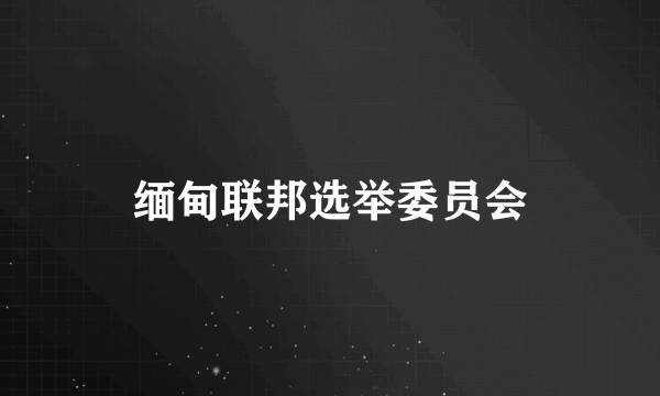 缅甸联邦选举委员会