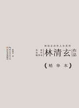 林清玄作品精华本