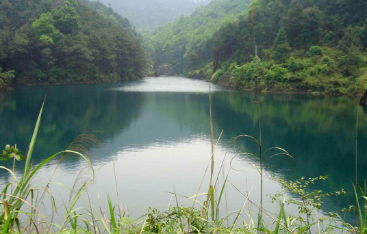 孔雀湖（景洪孔雀湖）