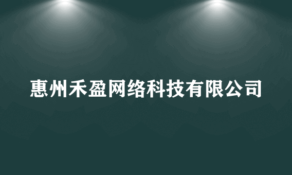 惠州禾盈网络科技有限公司