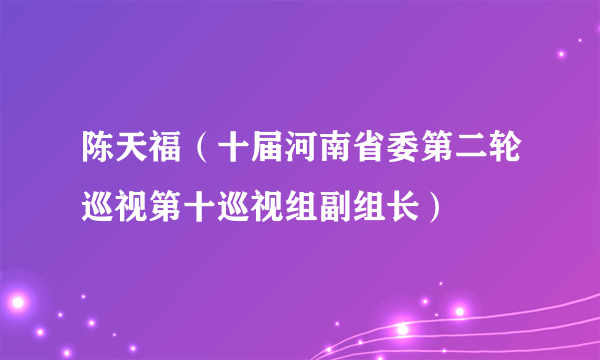 陈天福（十届河南省委第二轮巡视第十巡视组副组长）