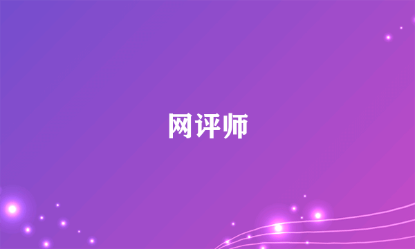 网评师