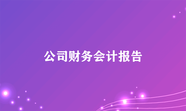 公司财务会计报告