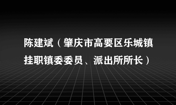 陈建斌（肇庆市高要区乐城镇挂职镇委委员、派出所所长）