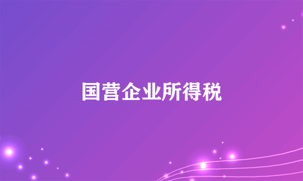 什么是国营企业所得税