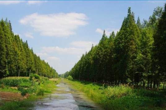 黄天荡遗址