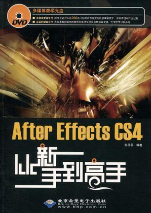 After Effects CS4从新手到高手