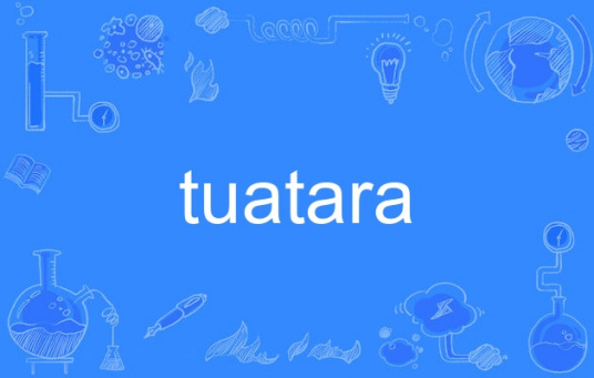 tuatara