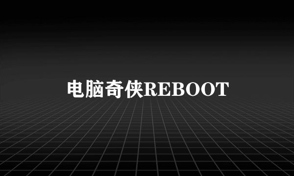 电脑奇侠REBOOT