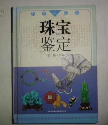 什么是珠宝鉴定（2009年浙江大学出版社出版的图书）