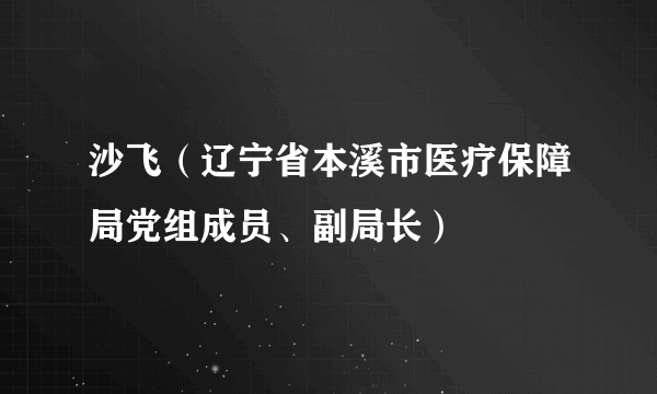 什么是沙飞（辽宁省本溪市医疗保障局党组成员、副局长）