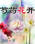 什么是芍药花开（小说）