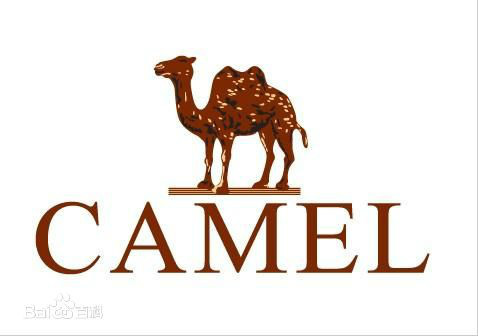 Camel骆驼