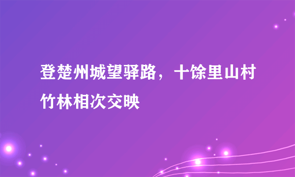 登楚州城望驿路，十馀里山村竹林相次交映