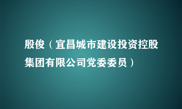 殷俊（宜昌城市建设投资控股集团有限公司党委委员）