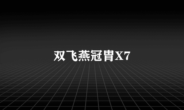 双飞燕冠胄X7