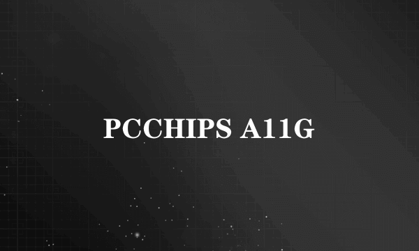 PCCHIPS A11G