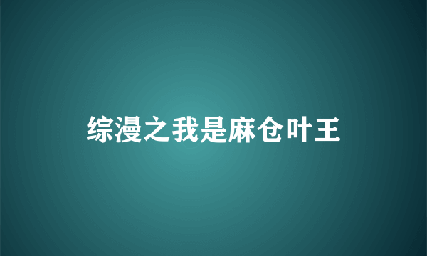 综漫之我是麻仓叶王