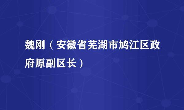 魏刚（安徽省芜湖市鸠江区政府原副区长）