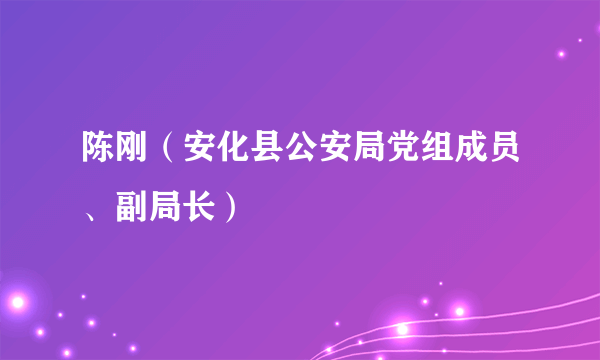 什么是陈刚（安化县公安局党组成员、副局长）