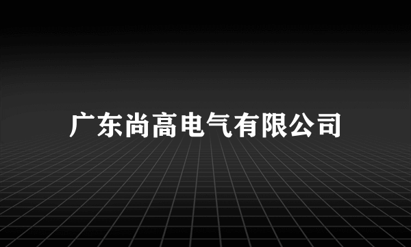 广东尚高电气有限公司