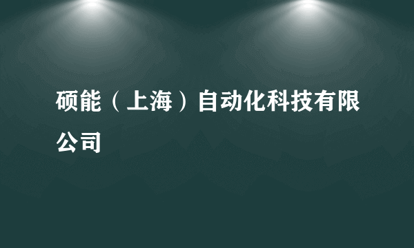 硕能（上海）自动化科技有限公司