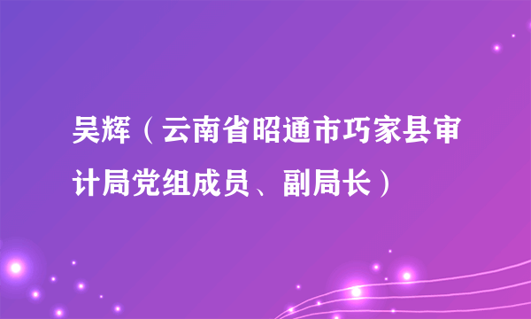 吴辉（云南省昭通市巧家县审计局党组成员、副局长）