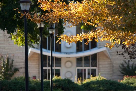 纽曼大学（美国大学，地处堪萨斯州威奇托）