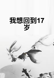 什么是我想回到17岁