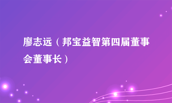 廖志远（邦宝益智第四届董事会董事长）