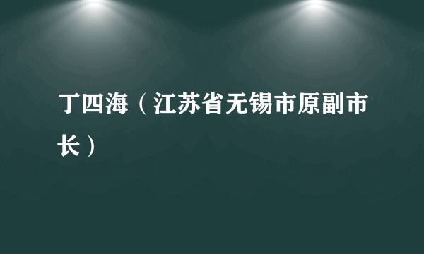 什么是丁四海（江苏省无锡市原副市长）