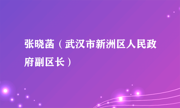 张晓菡（武汉市新洲区人民政府副区长）