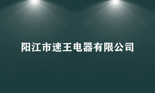 阳江市速王电器有限公司