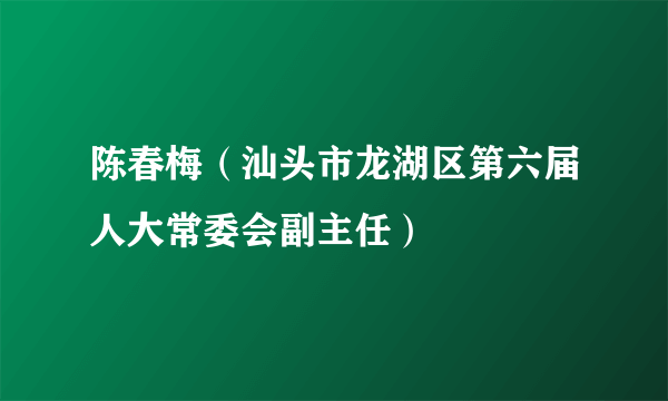 陈春梅（汕头市龙湖区第六届人大常委会副主任）