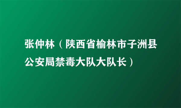 张仲林（陕西省榆林市子洲县公安局禁毒大队大队长）