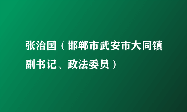 什么是张治国（邯郸市武安市大同镇副书记、政法委员）