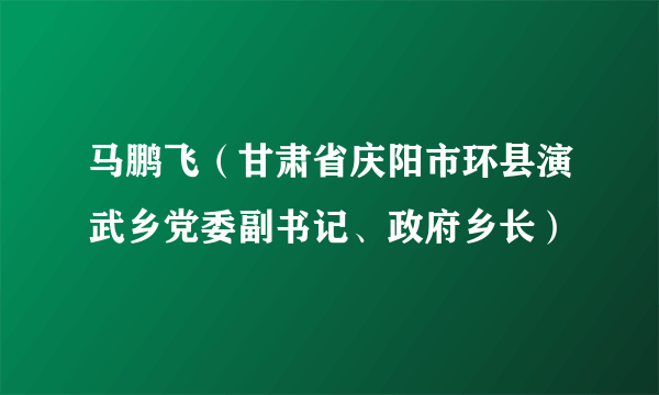 马鹏飞（甘肃省庆阳市环县演武乡党委副书记、政府乡长）