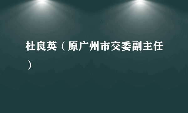 什么是杜良英（原广州市交委副主任）